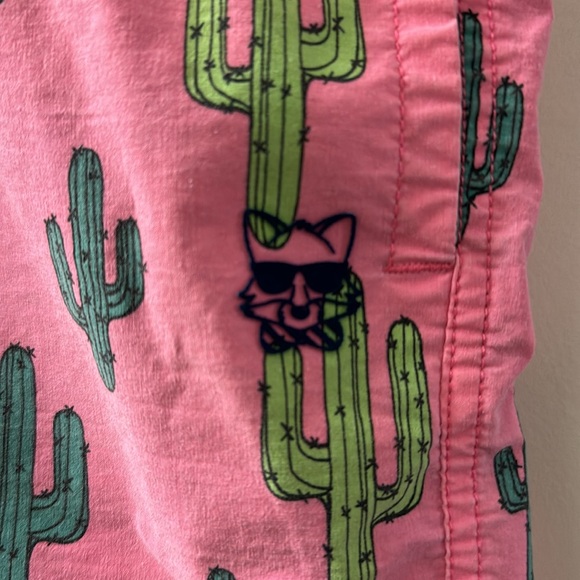 Pale pink and cacti swim shorts - Picture 2 of 5